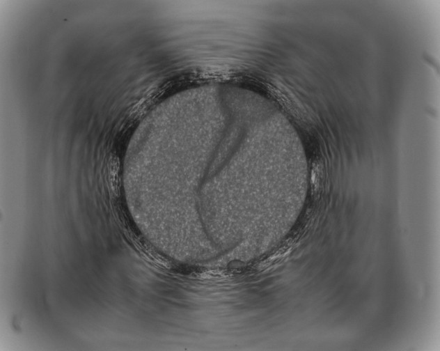X0000096670867200803041218