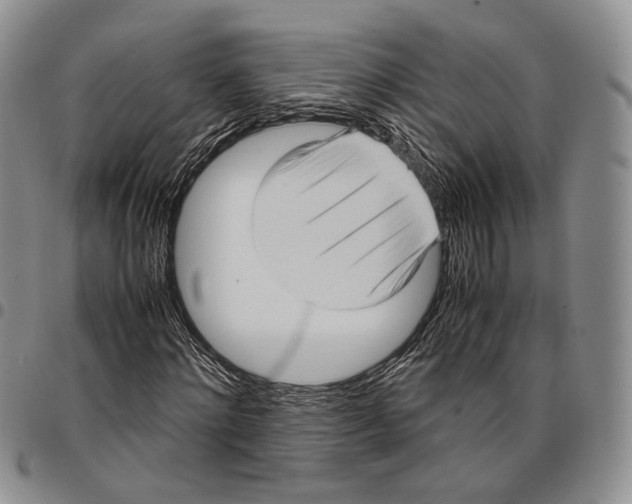 X0000096670868200803041218