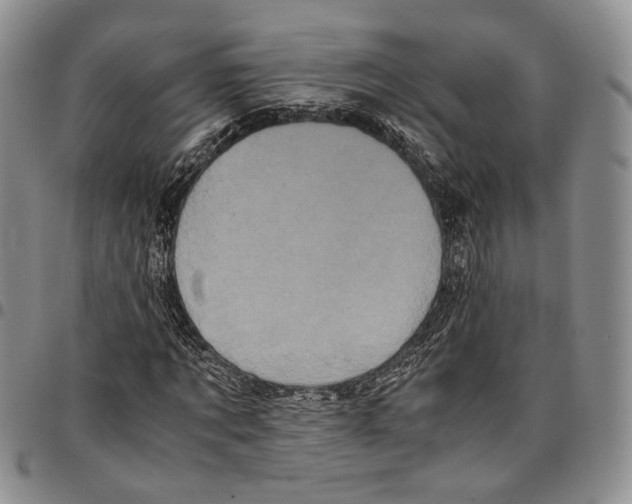 X0000096670869200803041218