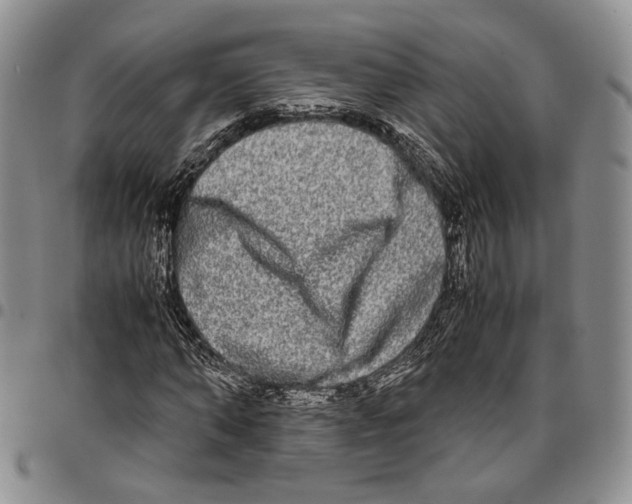 X0000096670870200803041218