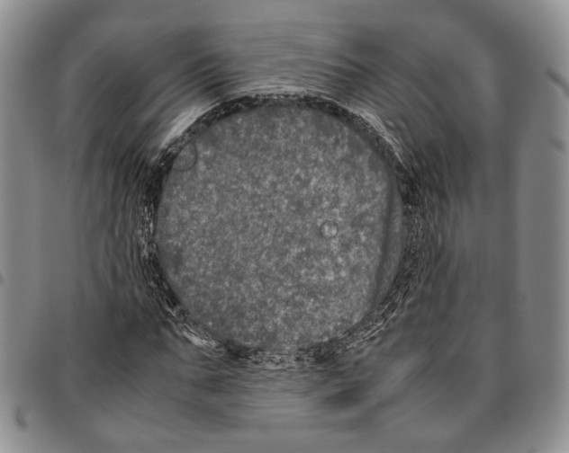 X0000096670871200803041218