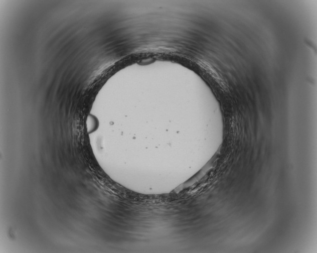 X0000096670872200803041218