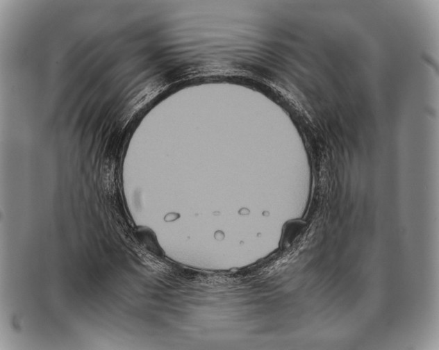 X0000096670873200803041218