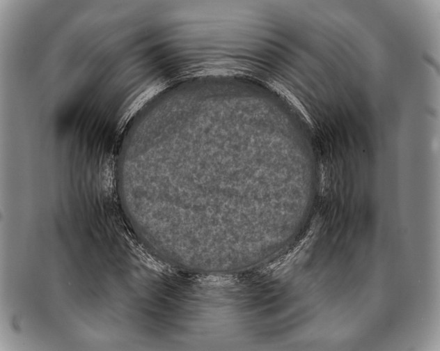 X0000096670874200803041218