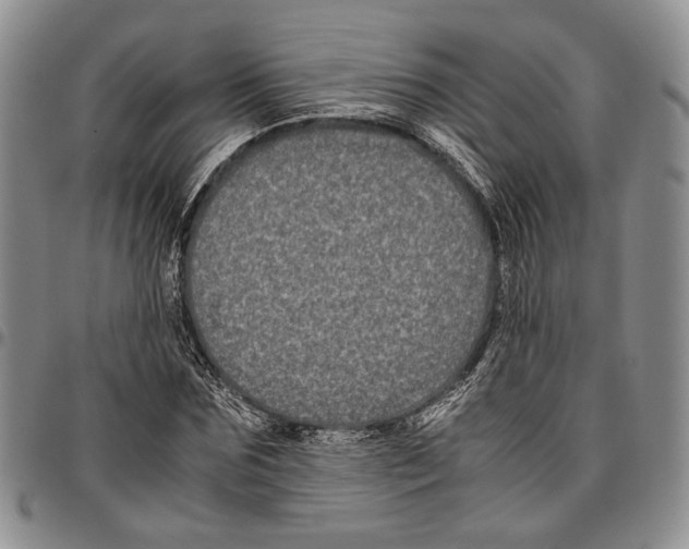 X0000096670875200803041218