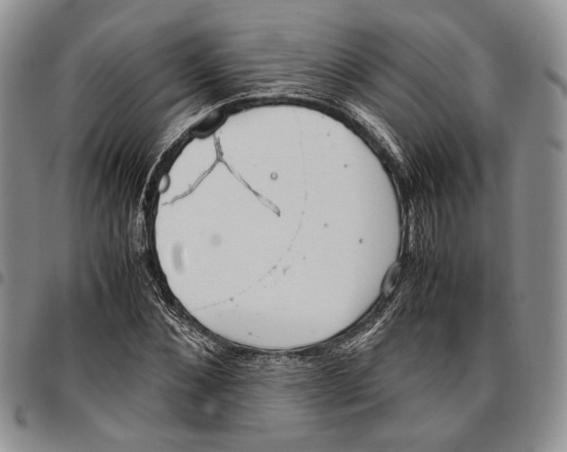 X0000096670876200803041218