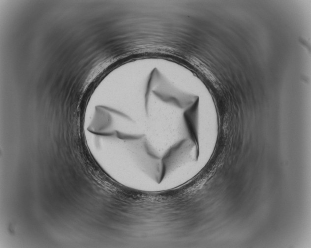 X0000096670877200803041218