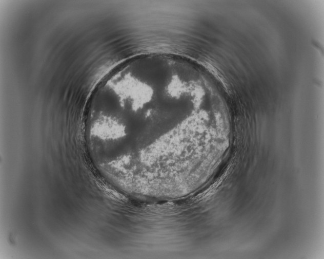 X0000096670879200803041218