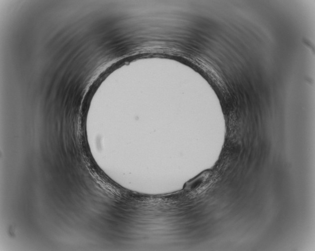 X0000096670880200803041218