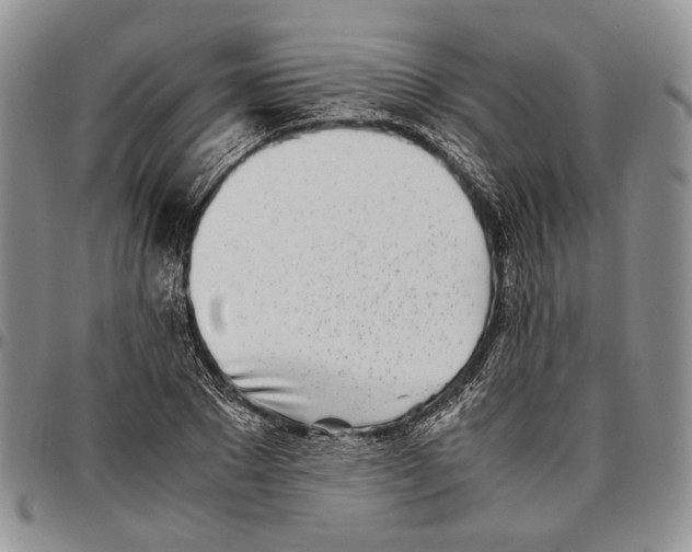 X0000096670881200803041218