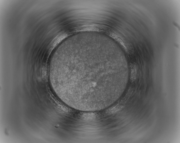 X0000096670882200803041218