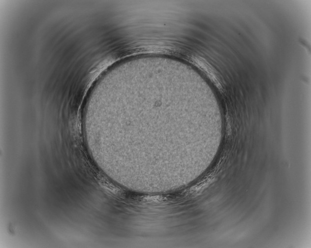 X0000096670883200803041218
