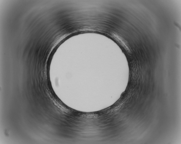 X0000096670884200803041218