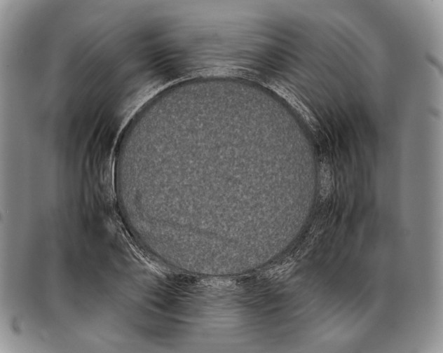 X0000096670886200803041218
