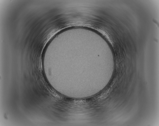 X0000096670887200803041218
