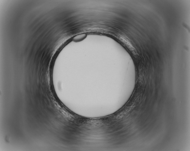 X0000096670888200803041218