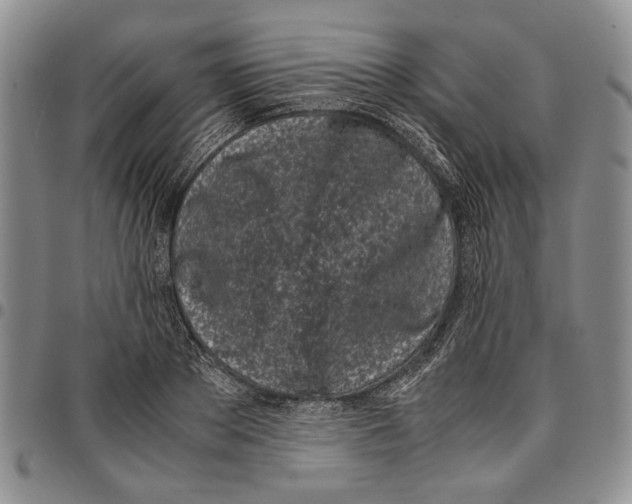 X0000096670889200803041218