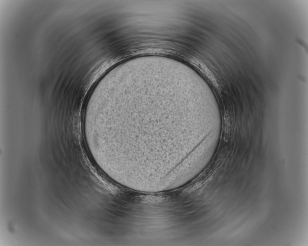 X0000096670890200803041218