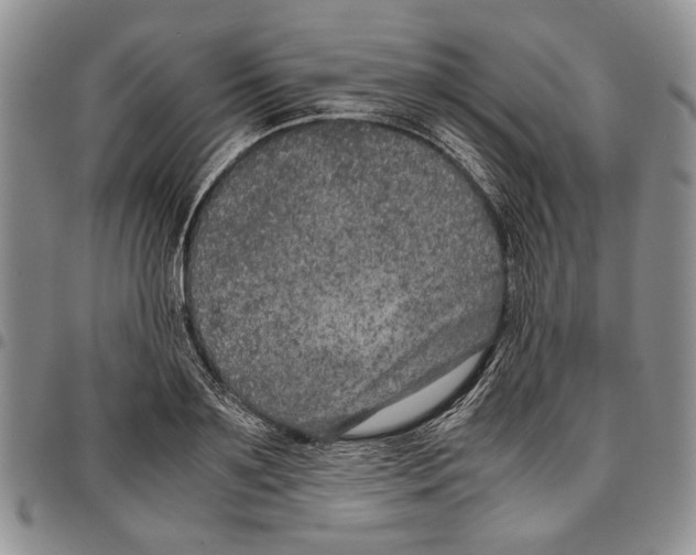 X0000096670891200803041218