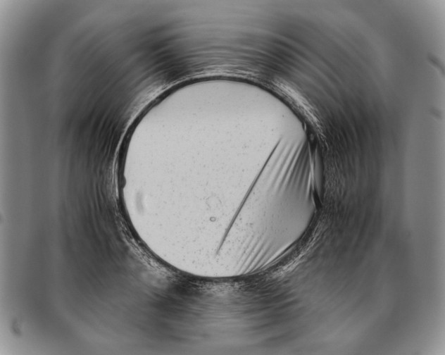 X0000096670892200803041218