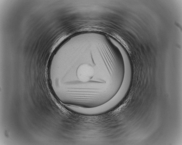 X0000096670893200803041218