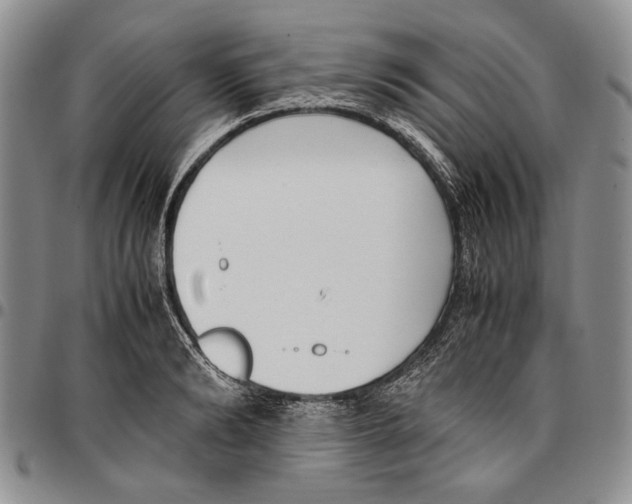 X0000096670894200803041218