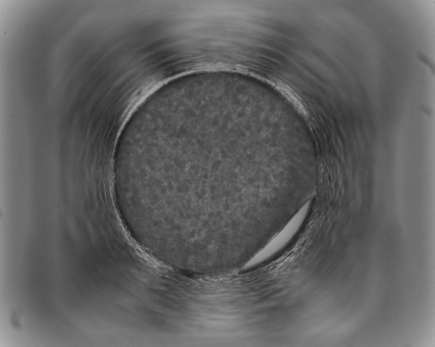X0000096670895200803041218