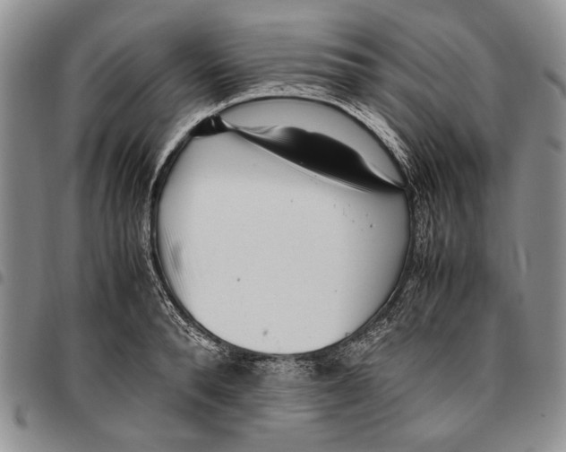 X0000096670896200803041218