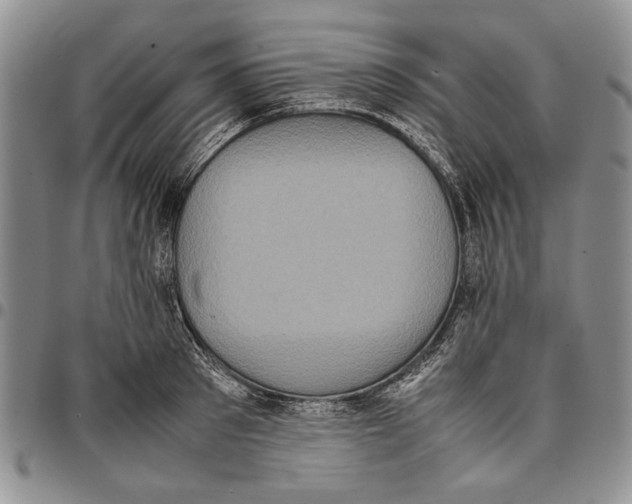 X0000096670897200803041218