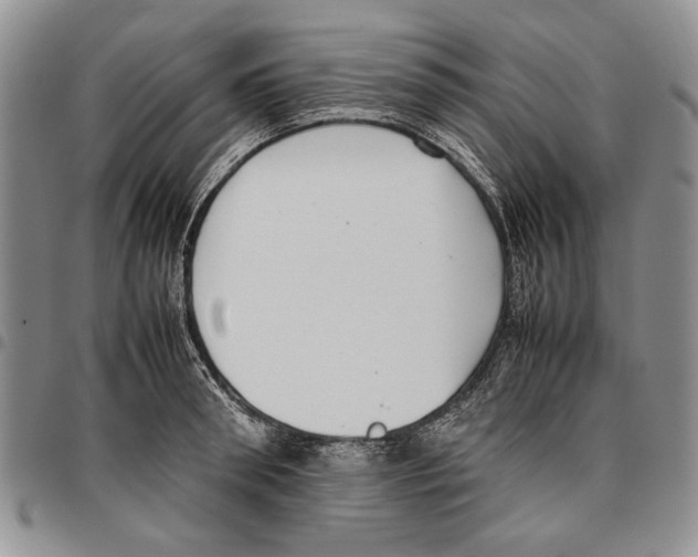 X0000096670898200803041218