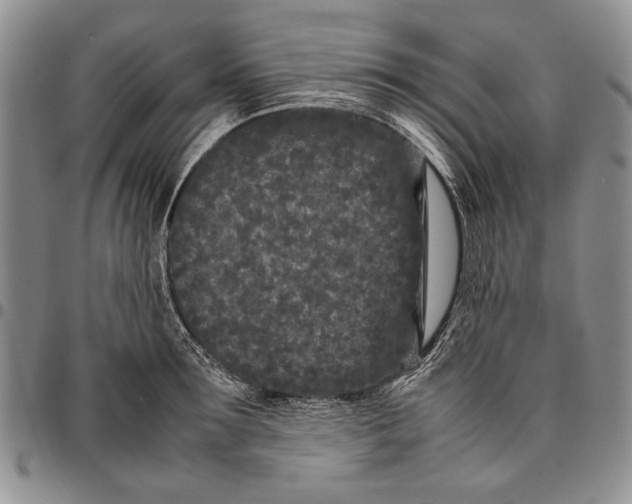 X0000096670899200803041218
