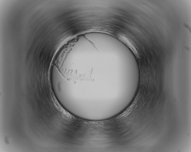 X0000096670900200803041218