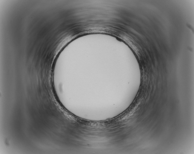 X0000096670901200803041218