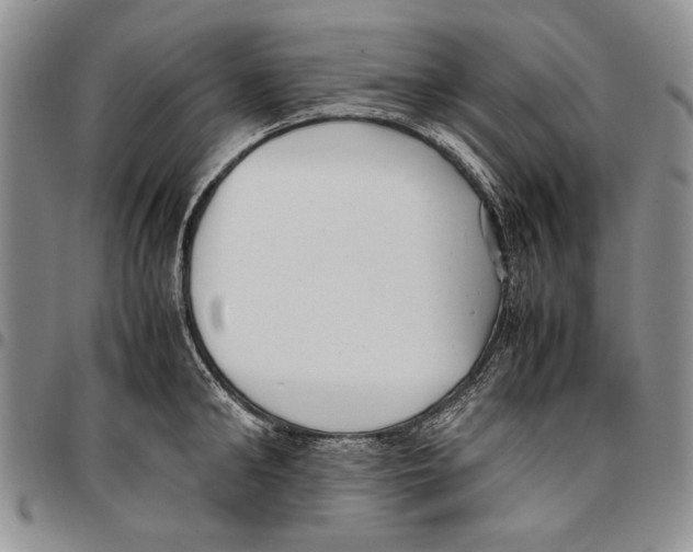 X0000096670902200803041218