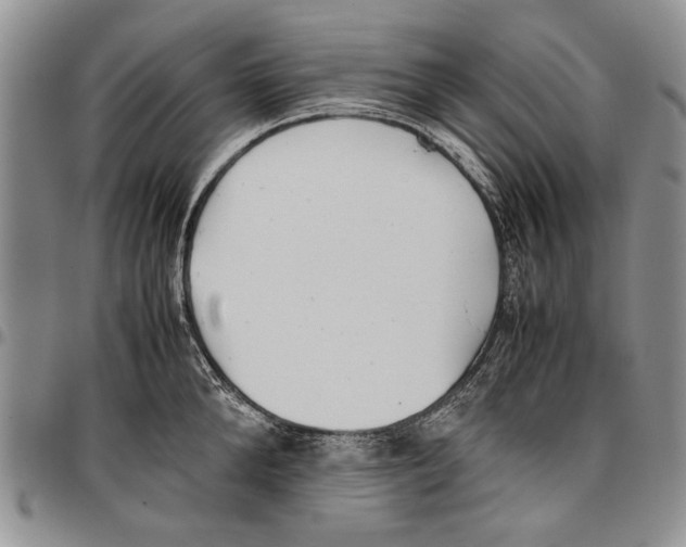 X0000096670904200803041218