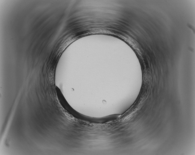 X0000096670905200803041218