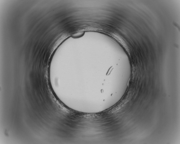 X0000096670906200803041218