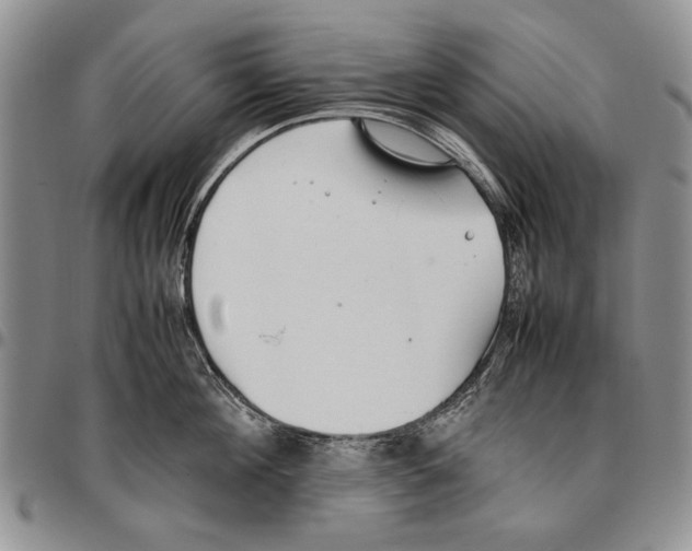 X0000096670908200803041218