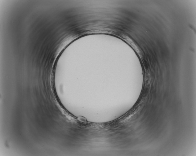 X0000096670909200803041218