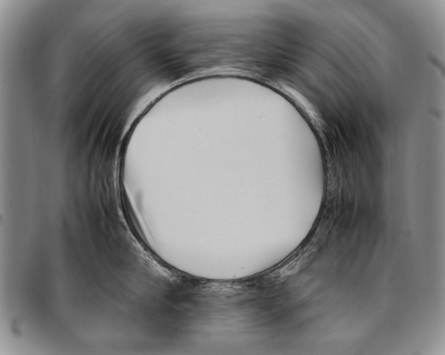 X0000096670910200803041218