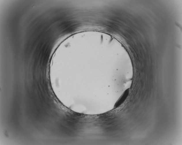 X0000096670912200803041218