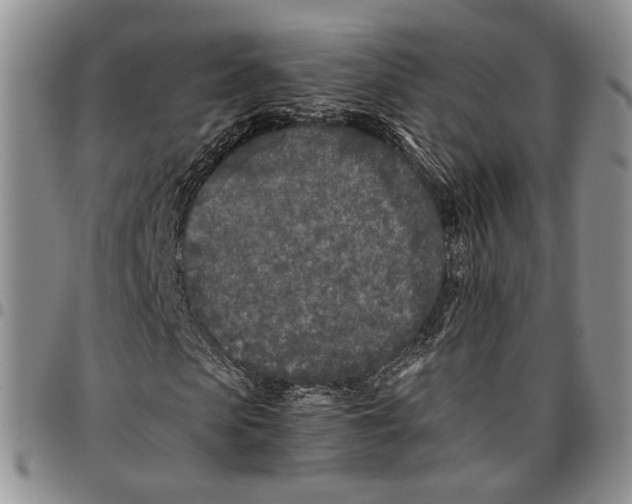 X0000096670913200803041217
