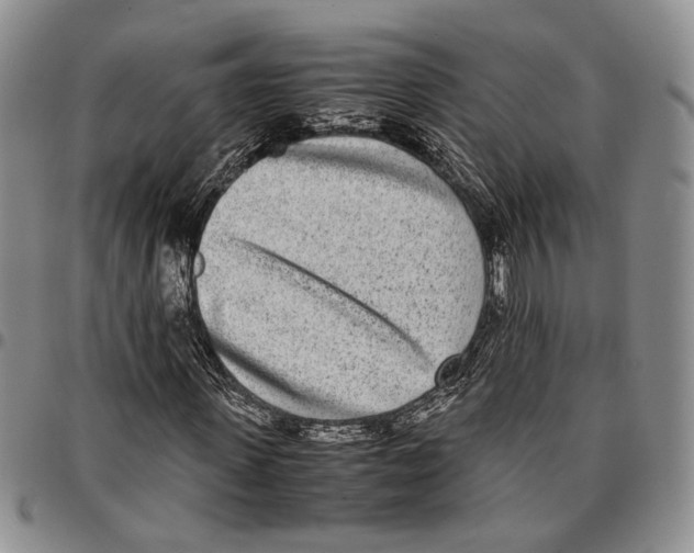 X0000096670915200803041217