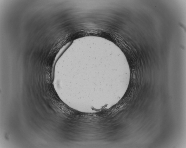 X0000096670916200803041217