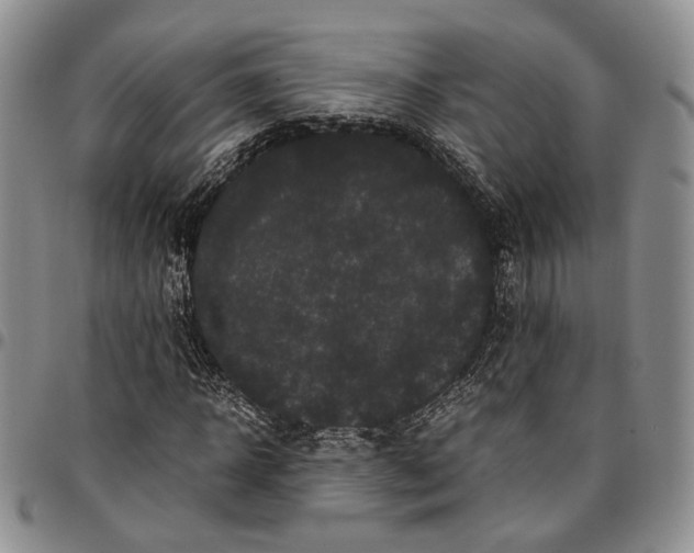 X0000096670918200803041217