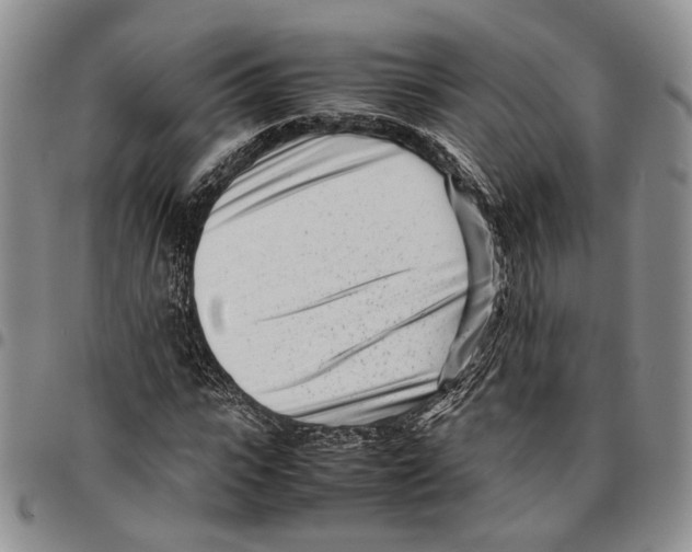 X0000096670919200803041217