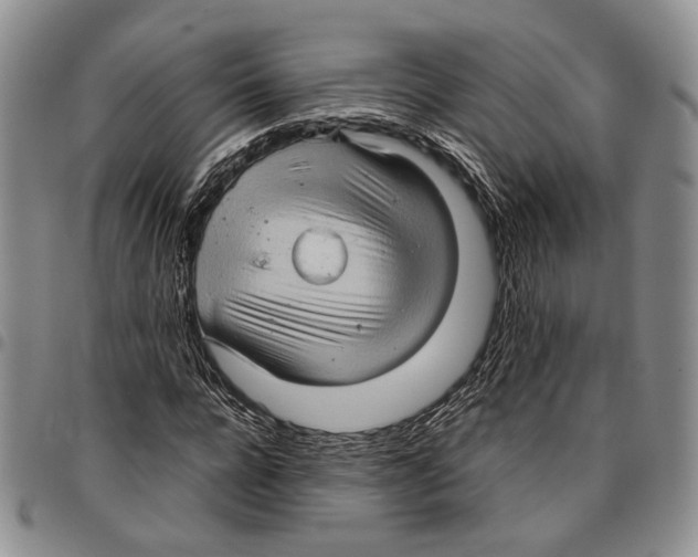 X0000096670920200803041217