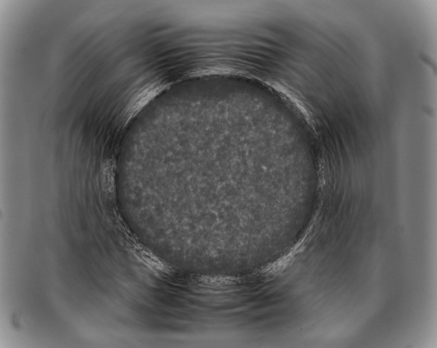 X0000096670921200803041217