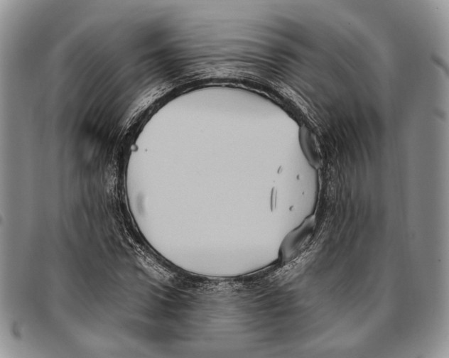 X0000096670922200803041217