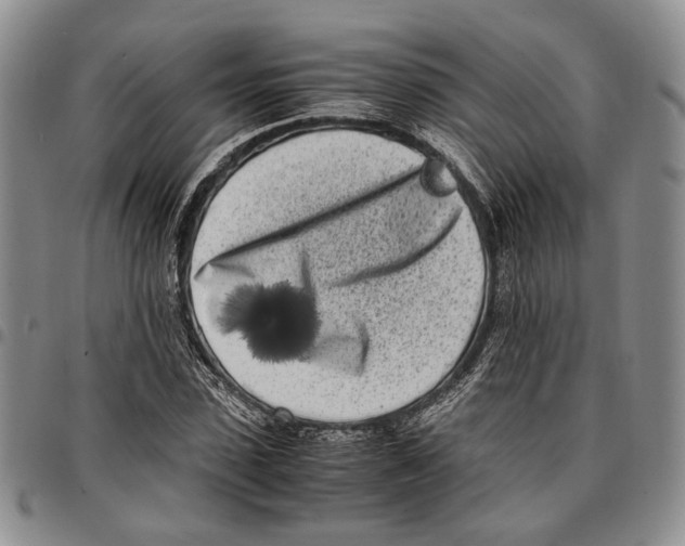 X0000096670923200803041217